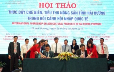 An Phát Holdings và tỉnh Hải Dương ký kết thỏa thuận hợp tác hỗ trợ thí điểm túi đựng rác hữu cơ