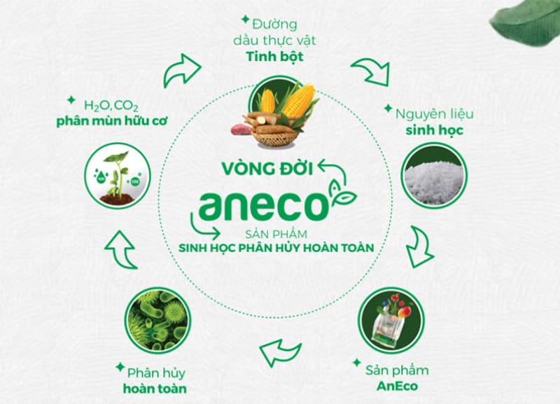 Vòng đời khép kín của các sản phẩm sinh học phân hủy hoàn toàn AnEco