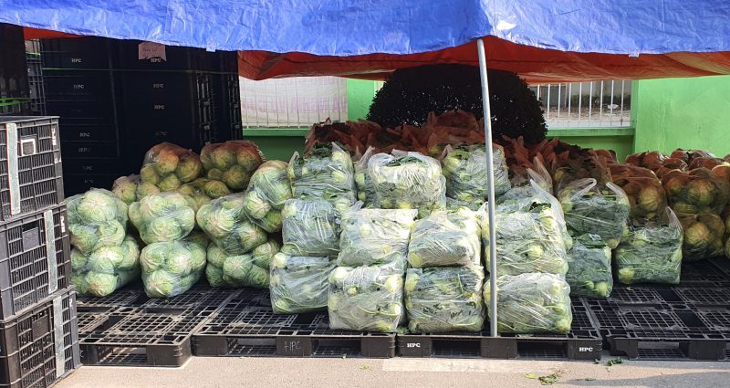 An Phat Holdings’ employees rescued 15 tons of Hai Duong’s agricultural products