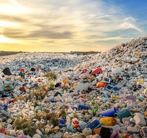 Vi khuẩn E. coli biến đổi gene có thể giúp giảm lượng rác thải nhựa. Ảnh: Sustainable Packaging News