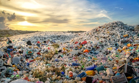 Vi khuẩn E. coli biến đổi gene có thể giúp giảm lượng rác thải nhựa. Ảnh: Sustainable Packaging News