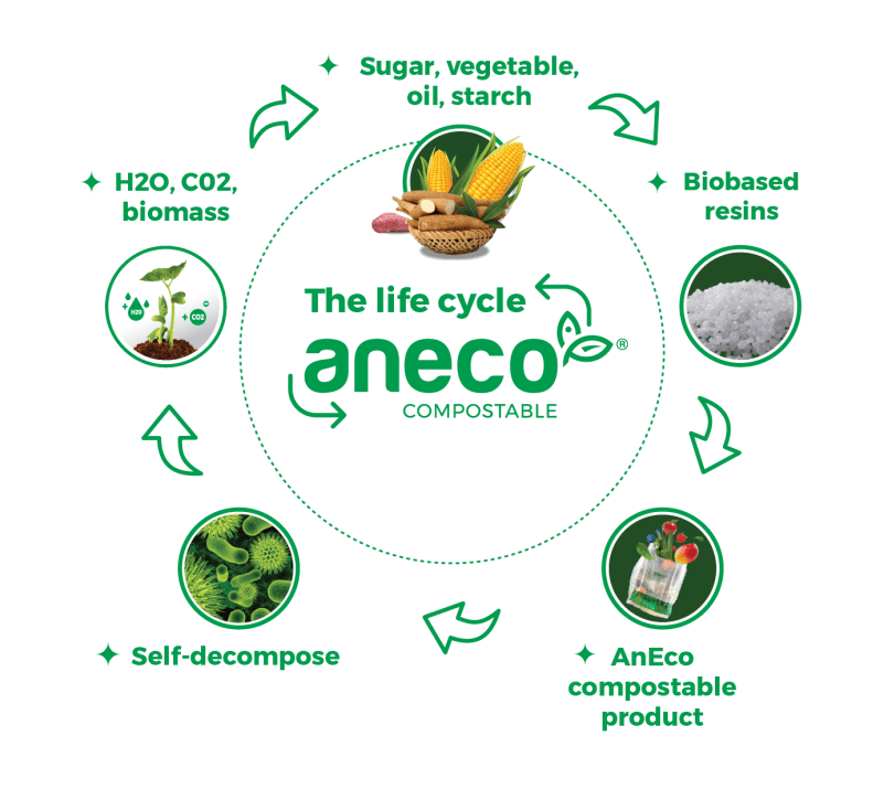 The life cycle of AnEco products – from renewable plant-based materials to compostability